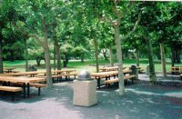 Lakewood Park picnic area