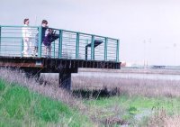 Baylands Park overlook